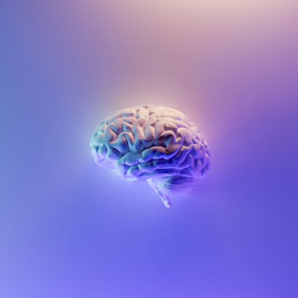 media-librarybDDc8k