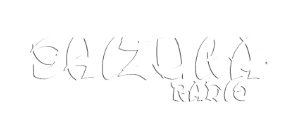 Shizuka Radio