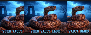 ViperVaultRadio