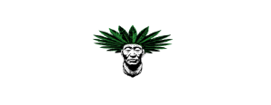 Alma Xamã