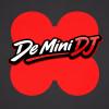 De Mini DJ