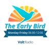 The Early Bird