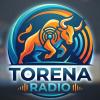 carlos torena